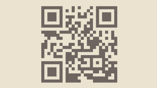 qr dezeistenaarnl